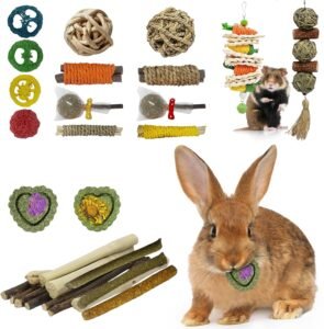 Set de juguetes masticables de madera natural para conejos