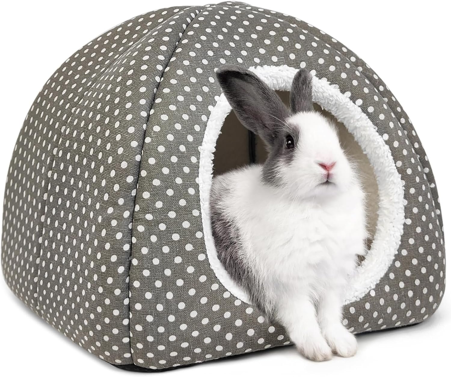 cama grande para conejos